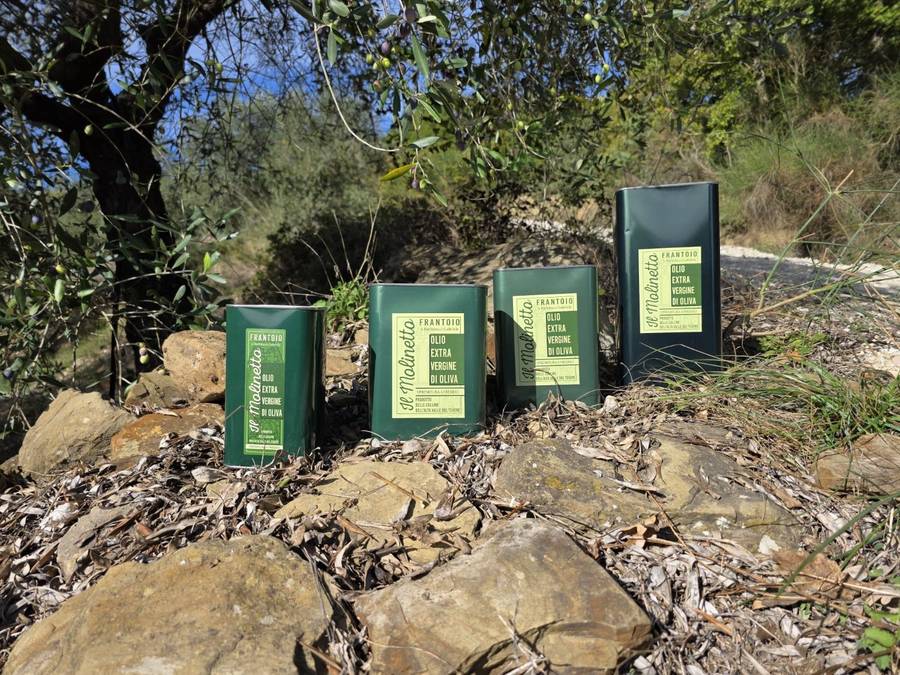 Le quattro lattine di olio extravergine Il Molinetto, da 1 a 5 litri, tra gli ulivi